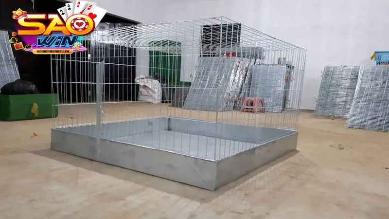 Phụ kiện gà chọi lồng gà