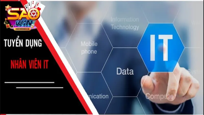 tuyển dụng saowin vị trí IT