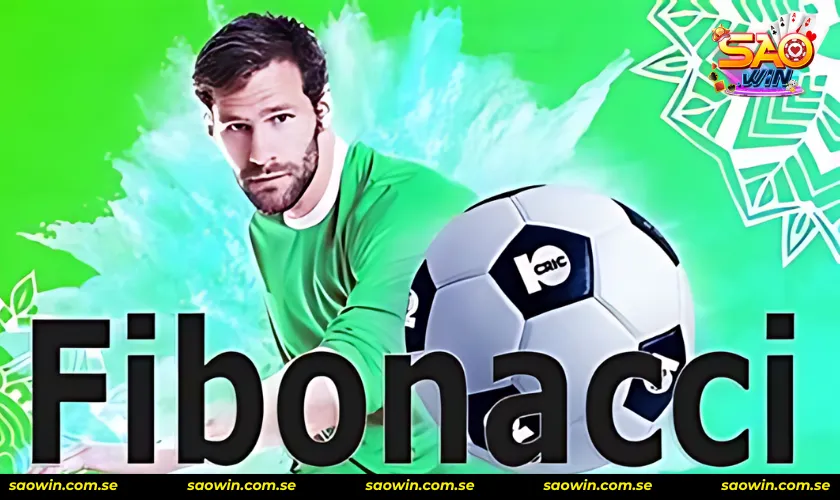 Chiến thuật Fibonacci là gì và rủi ro khó gỡ tiền lỗ