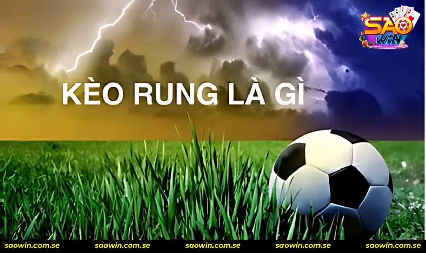 Hướng dẫn cách đọc kèo rung bóng đá chi tiết