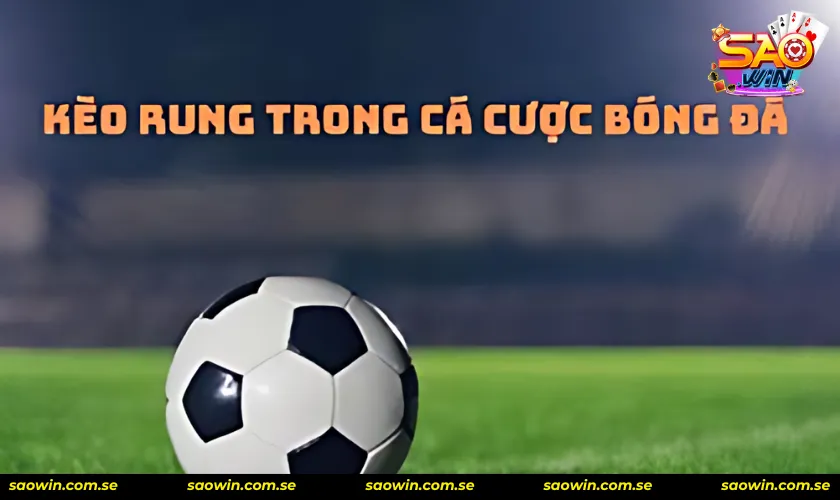 Kèo phụ để tham gia kèo rung bóng đá không thể bỏ qua